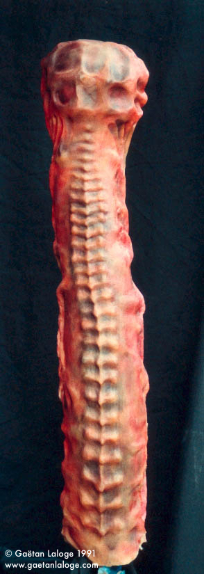 Creature_Cephalorus_02