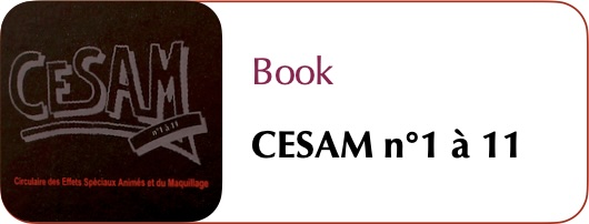sfx_ic_csm